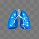 人体系统肺部结构