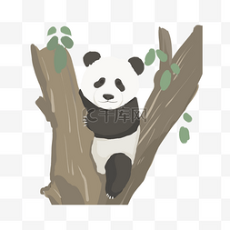 熊猫动物爬树