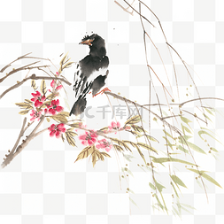 乌鸦与鲜花水墨画PNG免抠素材