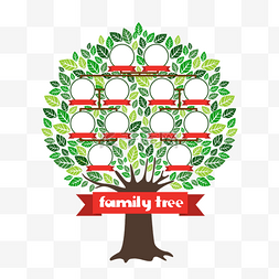 tree图片_手绘绿色家族树家庭关系家谱大树