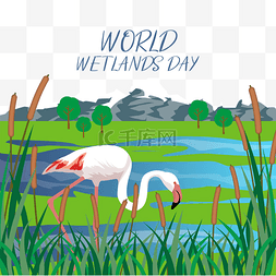 河滩素材图片_world wetlands day水禽与湿地