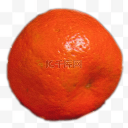 圆形的黄色橘子果子