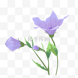 浪漫温馨背景图片_紫色花朵鲜花