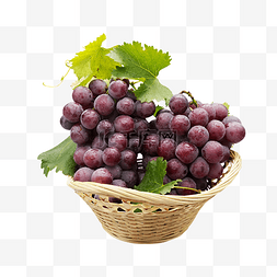 果篮装紫葡萄