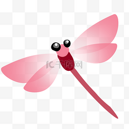 昆虫粉色蜻蜓