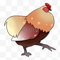 卡通下蛋母鸡图片_肥硕的大母鸡插画