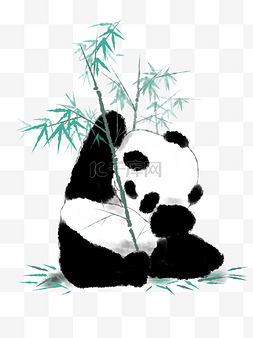 动物吃动物图片_大熊猫吃竹子