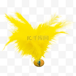 黄色羽毛毽子
