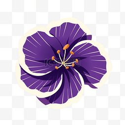 紫色花朵插画