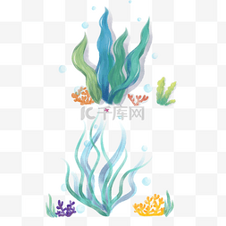 水彩海草图片_水彩海藻