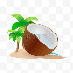 海边沙滩椰子