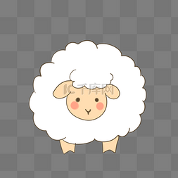 小羊绵羊  动物