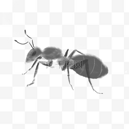 水墨动物蚂蚁PNG素材