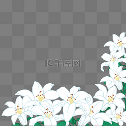 百合花图片_百合花簇装饰