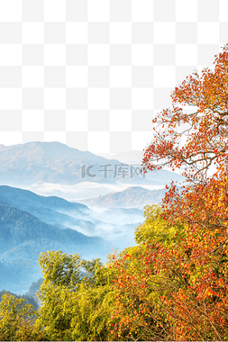 秋天山峰和红叶