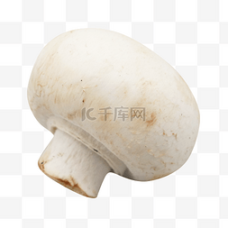 菌类蔬菜菌菇