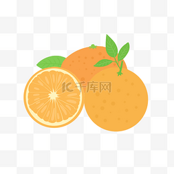 切开橙子图片_橙子水果果实