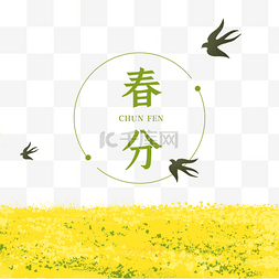 花朵燕子图片_春季黄色油菜花地