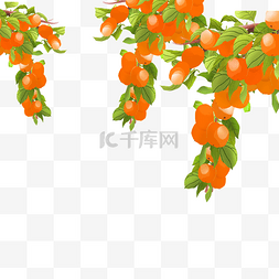 水果的树叶图片_卡通黄色的的橘子