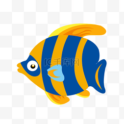 一条海洋鱼类