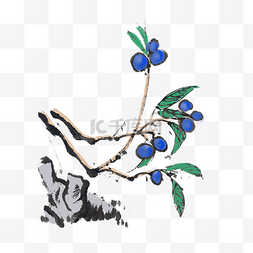 新鲜水果蓝莓