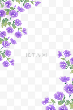 紫色花水墨图片_牵牛花水彩边框