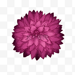 盛开的花gif图片_紫色盛开的鲜花装饰图案