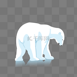 白色行走的北极熊