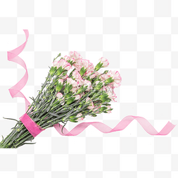 唯美粉色康乃馨玫瑰花