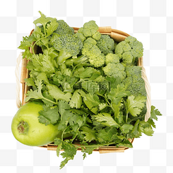绿色蔬菜香菜