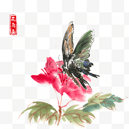 红色花朵与蝴蝶