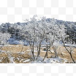 皖图片_冬季雾凇树木