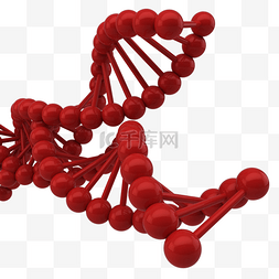DNA血红细胞