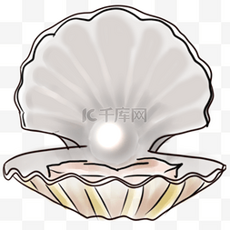 贝壳里的白珍珠