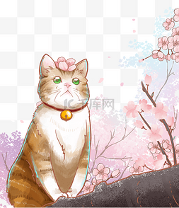 樱花春天猫图片_樱花樱花节樱花树小猫