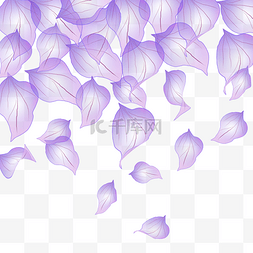 散落的紫色花瓣