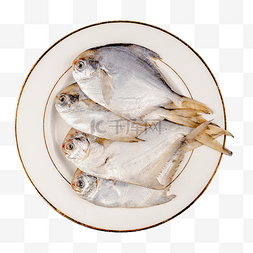 新鲜海鲜白鲳鱼