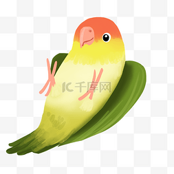 彩色鹦鹉小鸟