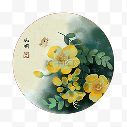 人决明子图片_夏季花卉黄花决明