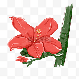 红色花朵植物图片_红色花朵植物