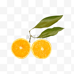 切开橙子图片_切开的创意摆拍橘子