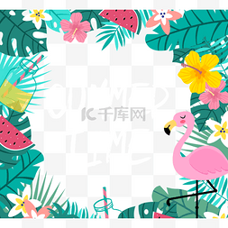 夏季热带花卉图片_夏季热带植物水果火烈鸟边框