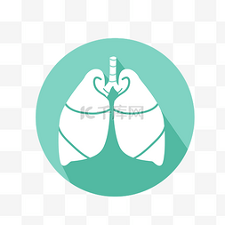 肺的图片_圆形两片肺器官插图