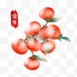 霜降节气食物柿子插画
