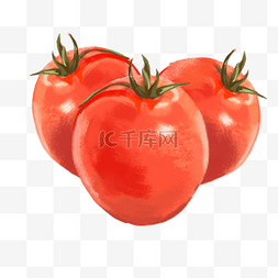 番茄图片_蔬菜番茄