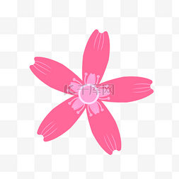 樱花铺路素材图片_可爱粉色花瓣点缀素材