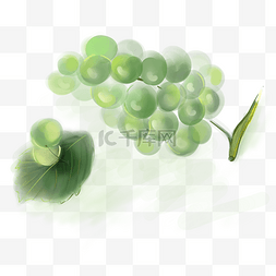 绿葡萄图片_水粉绿色的葡萄