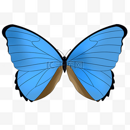 蓝色精美漂亮的蝴蝶