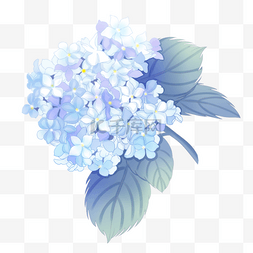 婚礼手绘花卉图片_手绘风格蓝紫绣球花