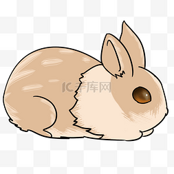 卡通小兔子插画图片_复活节创意小兔子插画